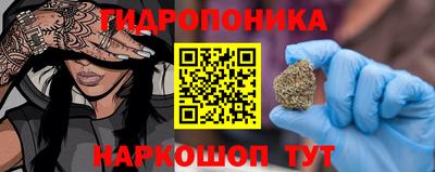 прущие грибы Малгобек