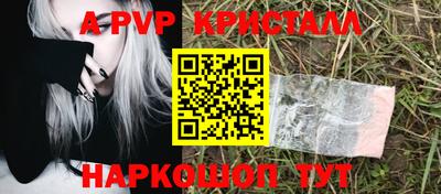 прущие грибы Малгобек