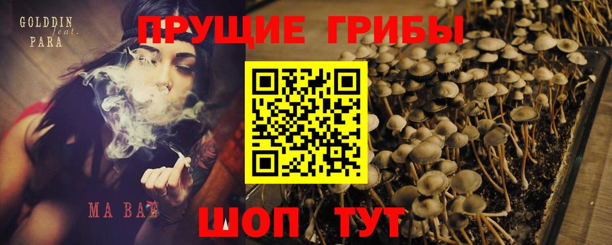 Галлюциногенные грибы Magic Shrooms  Вход с VPN  Иваново 